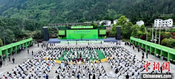 臻富配资 多国专家：&ldquo;年轻化&rdquo;是中国茶出口的突破口