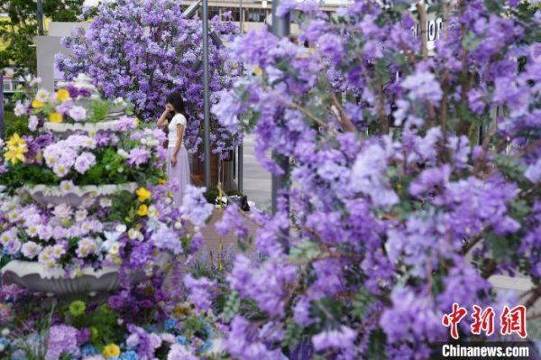 信通配资 昆明商场打造蓝花楹花海引民众打卡